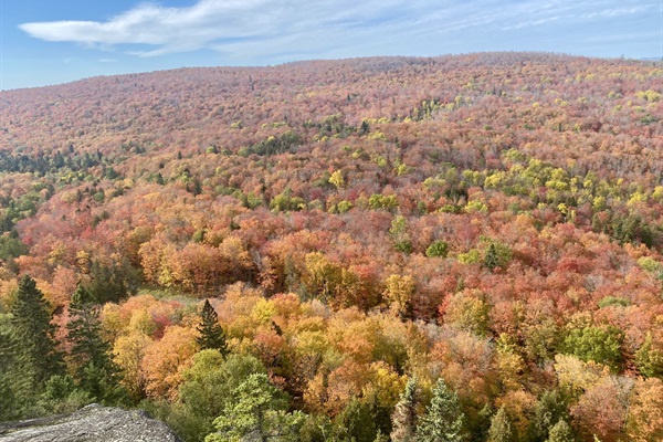 Fall foliage at Lutsen Mountain, ride the gondola and see amazing views without hiking!