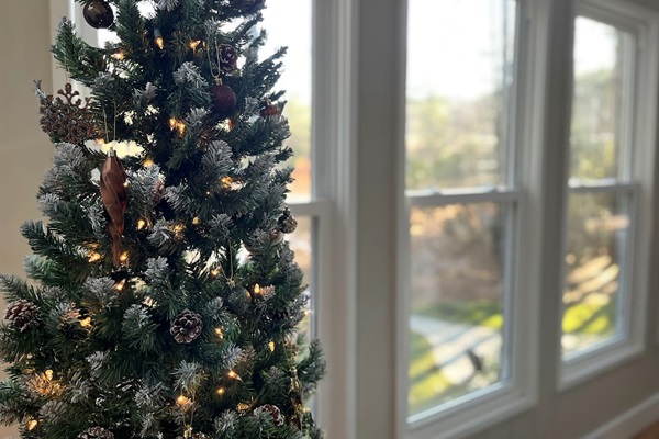 Celebrate the holidays with friends or family.