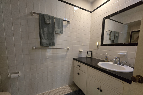 Downstairs Bathroom with Shower