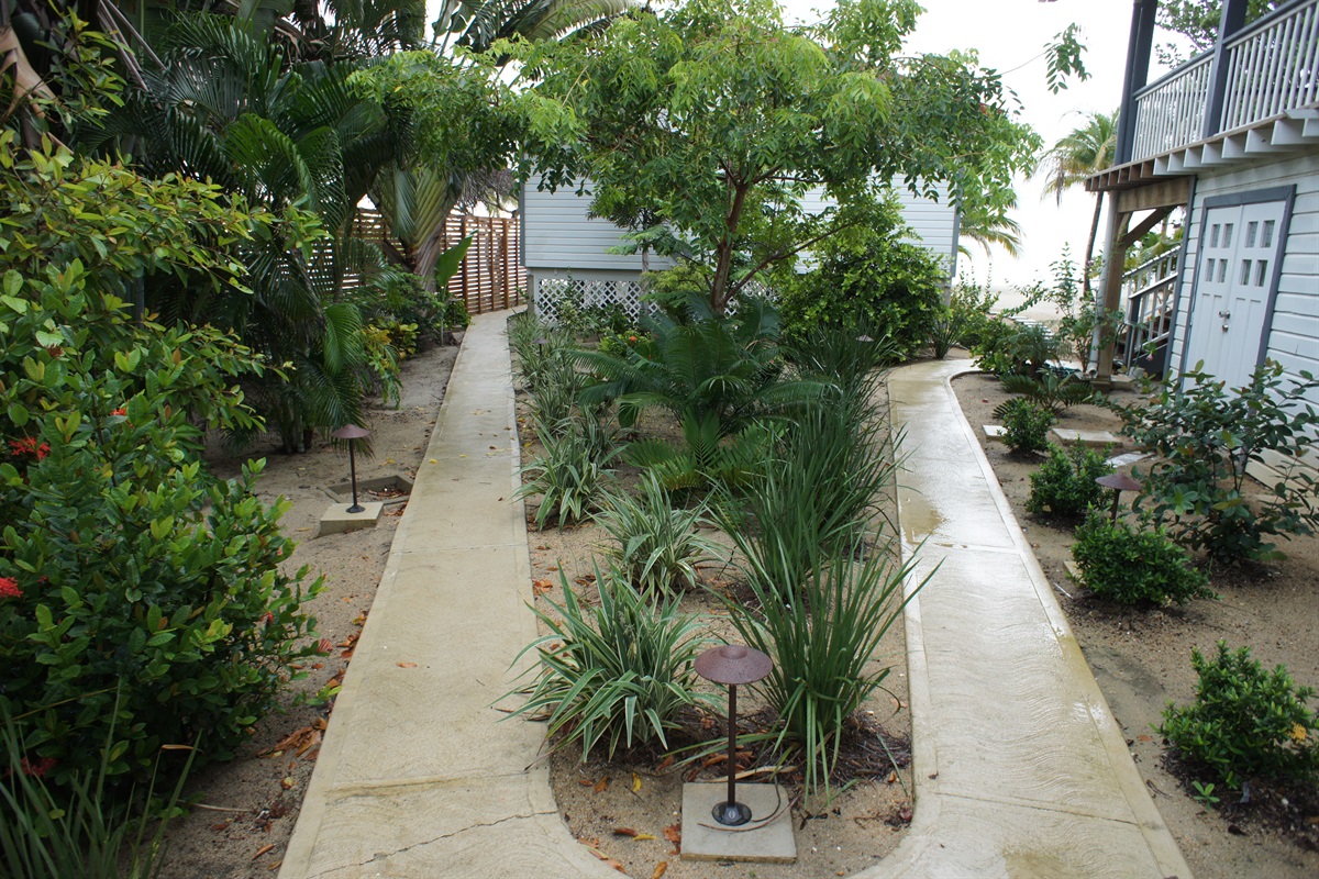 Path to Cottage or Beach House