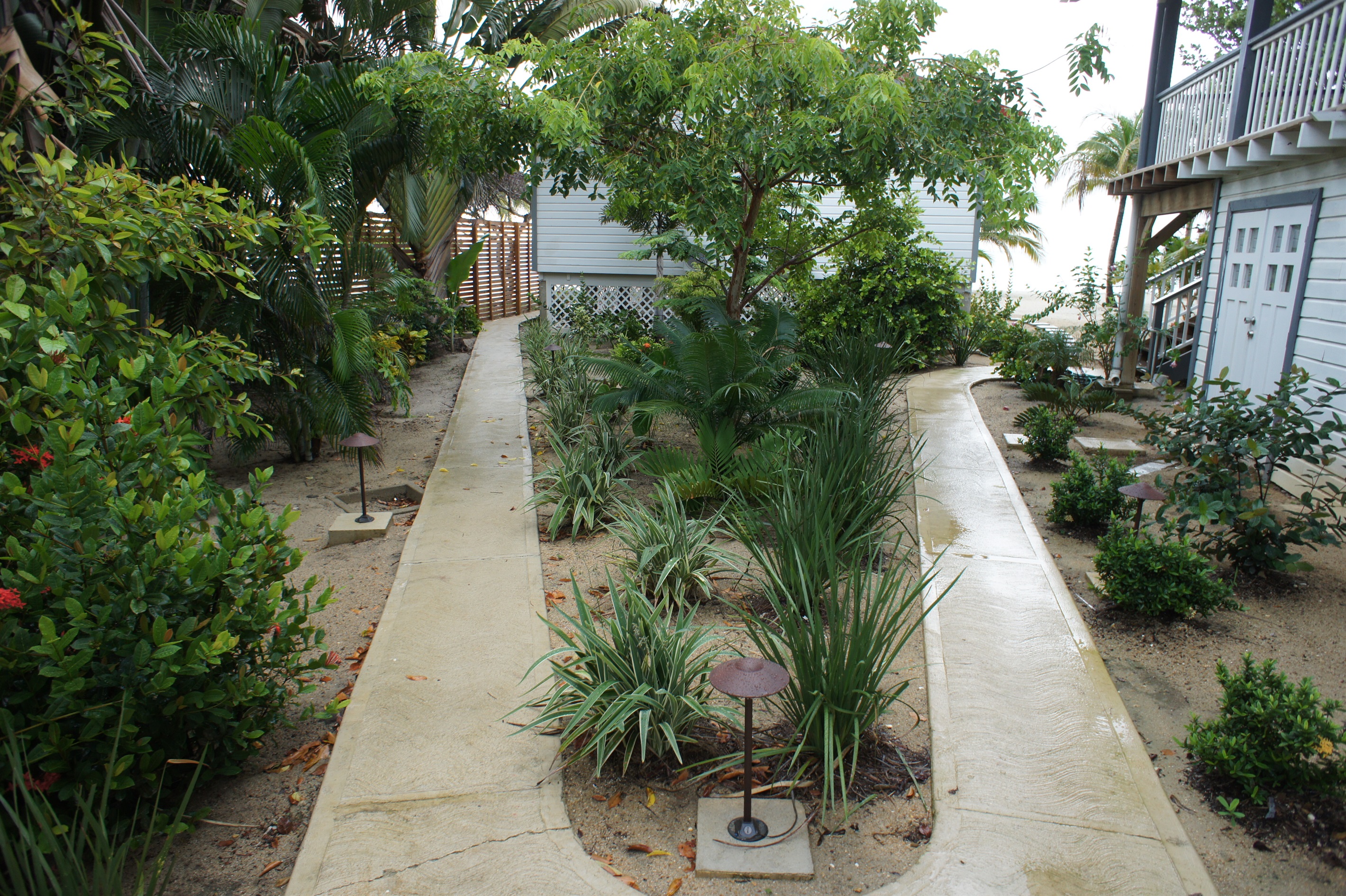 Path to Cottage or Beach House