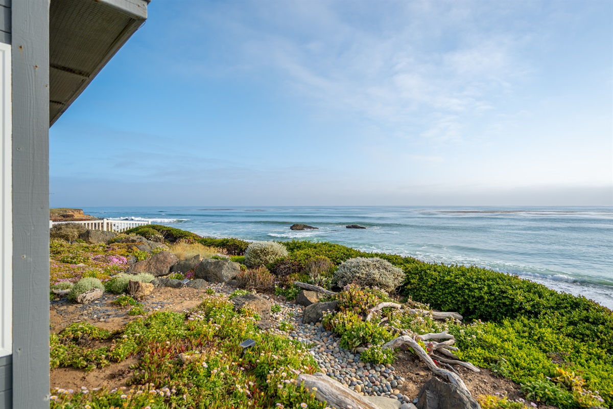 A view down the San Simeon coast from our patio area