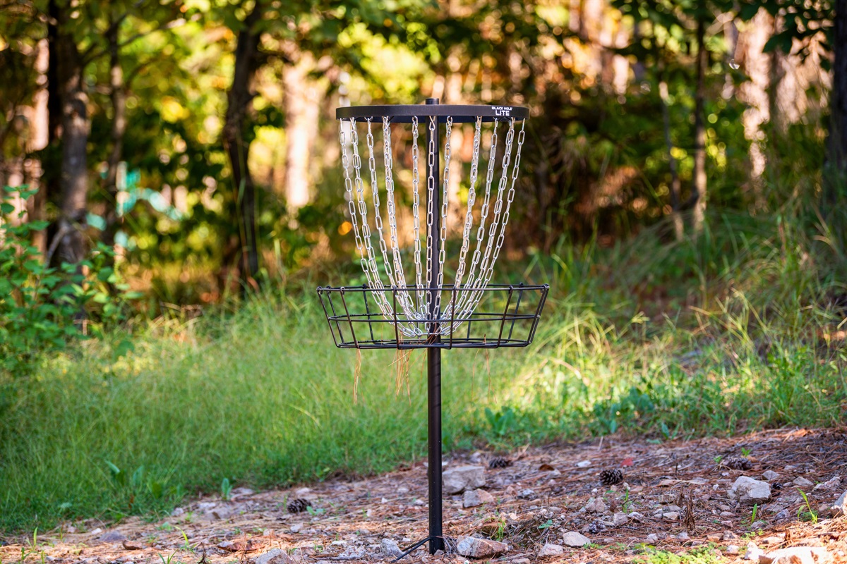 Challenge your friends or family to a friendly game of disc golf on the cabin’s private course nestled in the woods.
