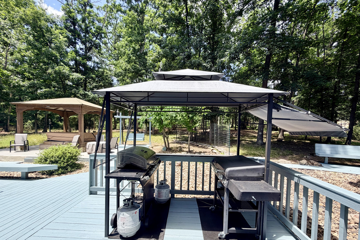 A propane grill and a propane griddle!