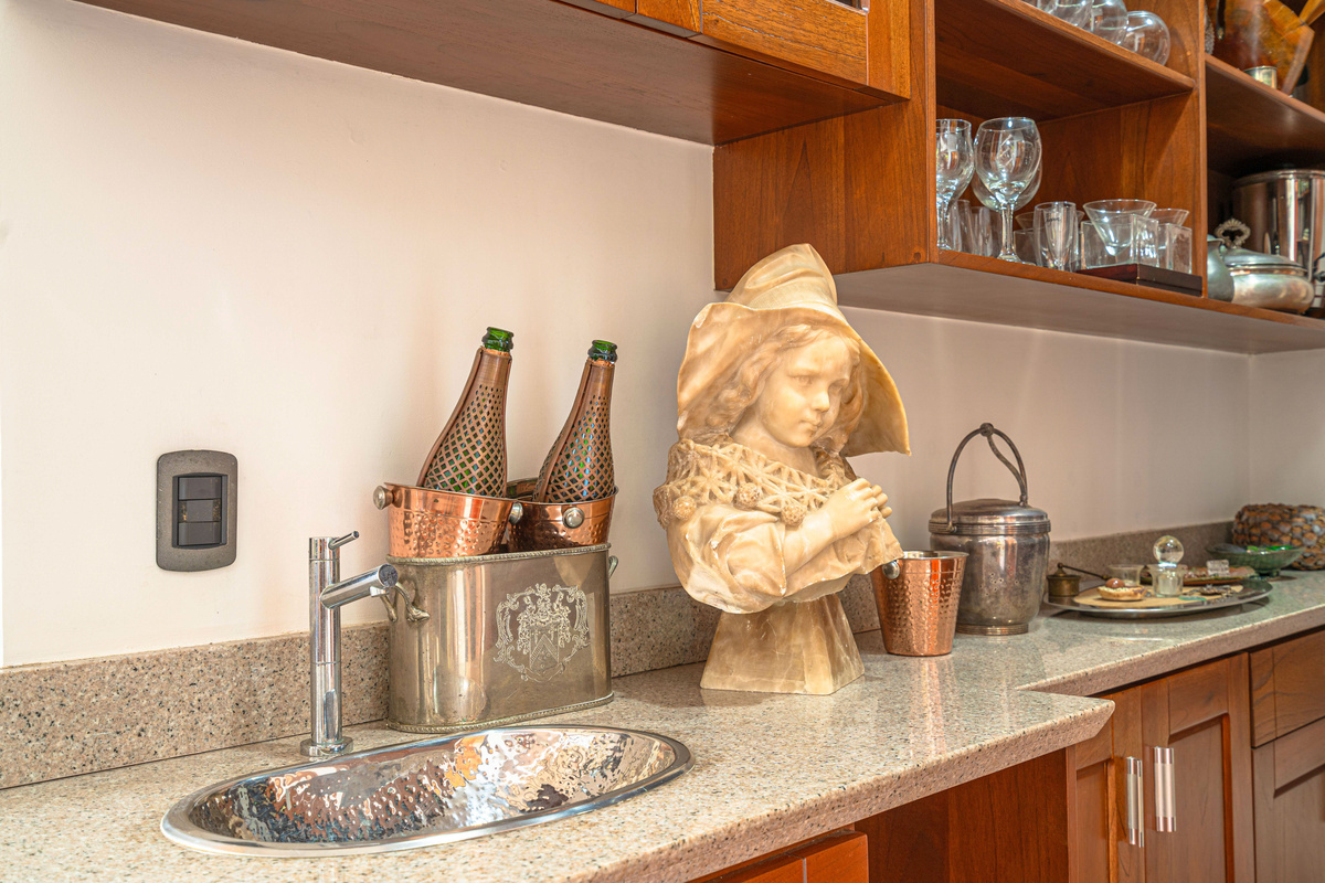 Kitchen wet bar detail — premium finishes throughout