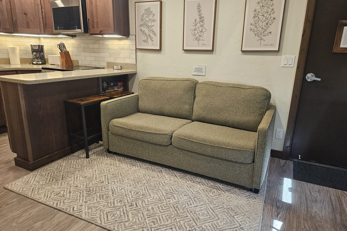 Sofa/Sleeper