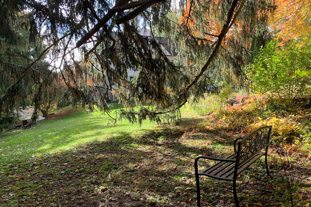 Bench under the tree - quiet and peaceful 