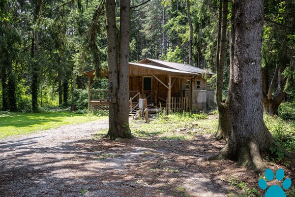 Shady Grove Hideaway - Cabin