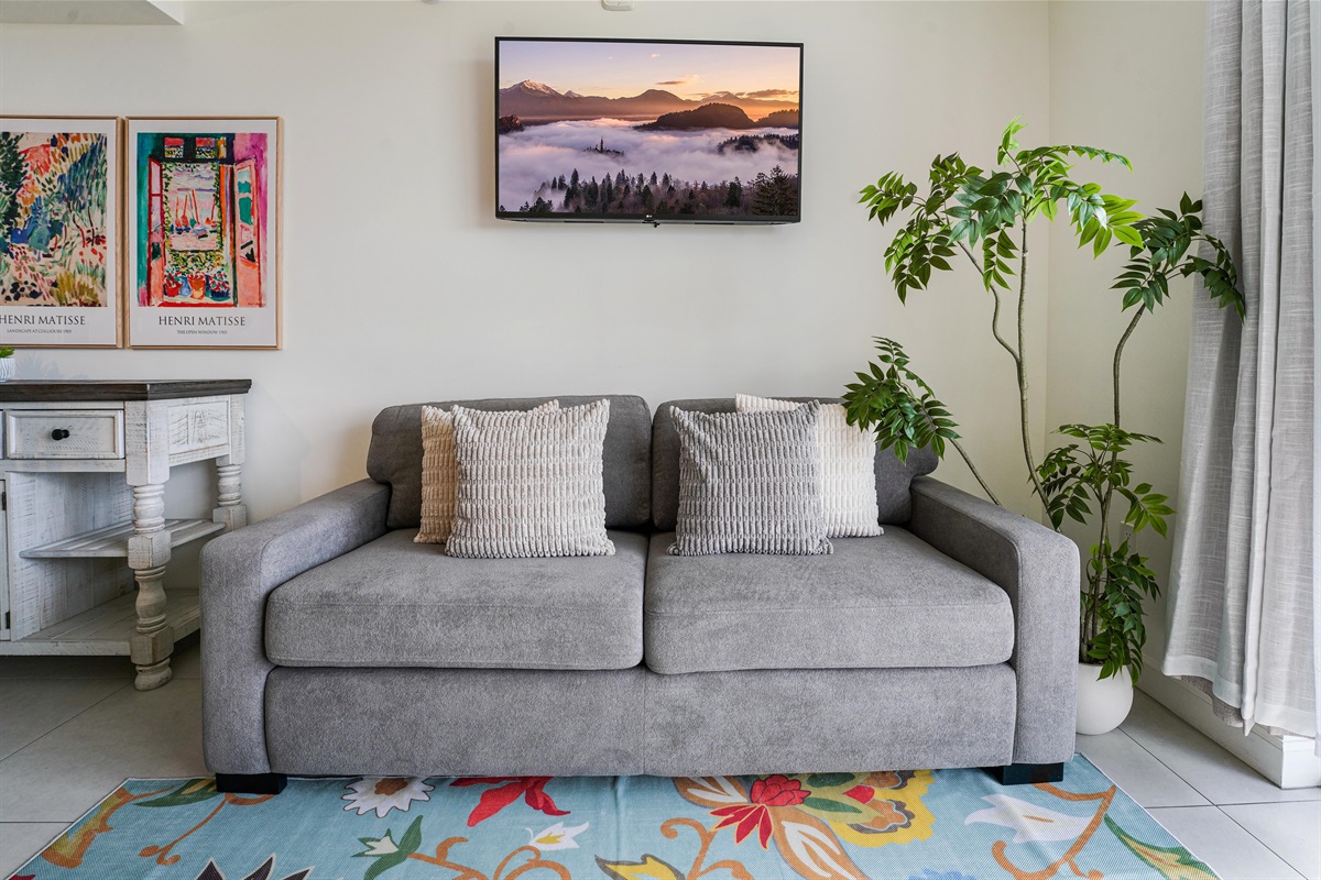 Sofa with queen size pull out bed & Smart TV