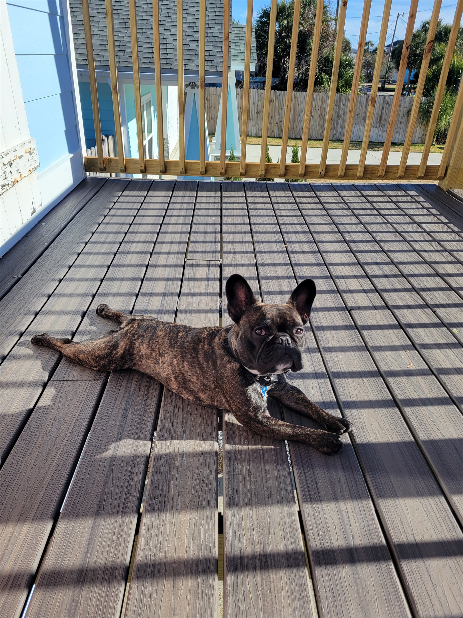 Your fur baby will love laying out on the front deck protecting the beach house