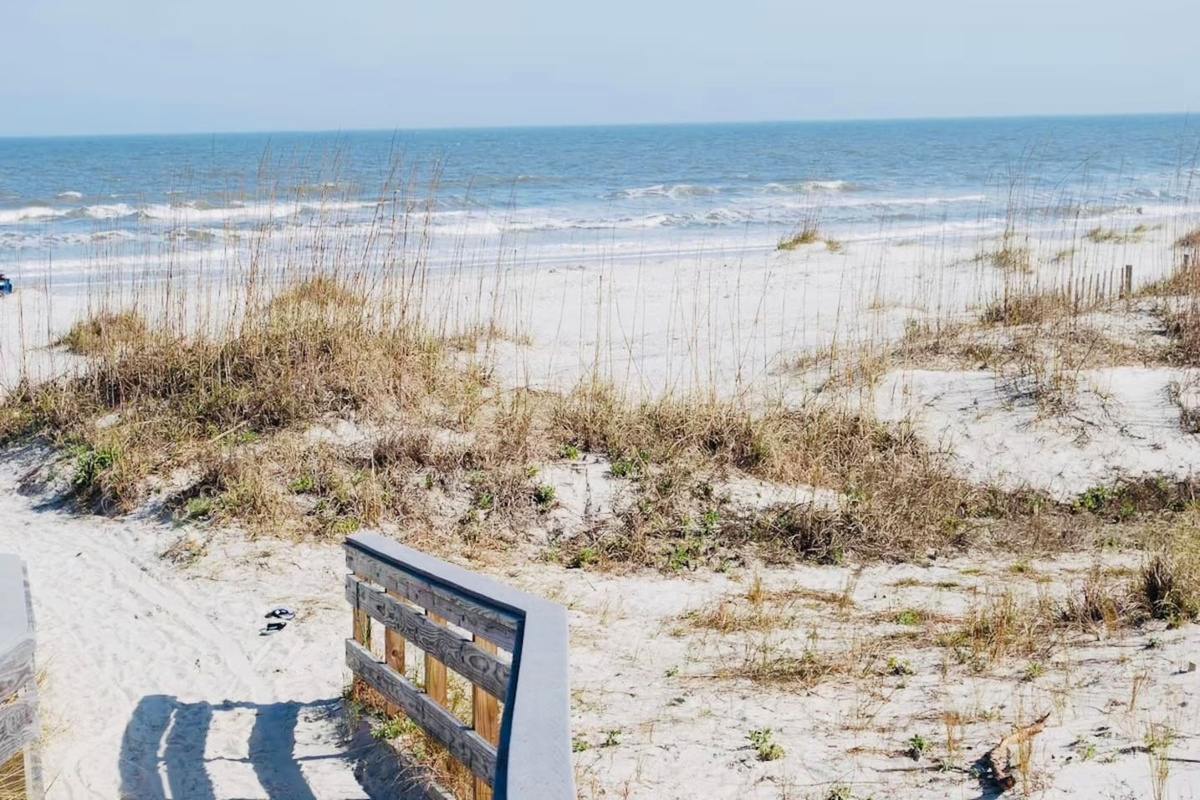 Beach dunes