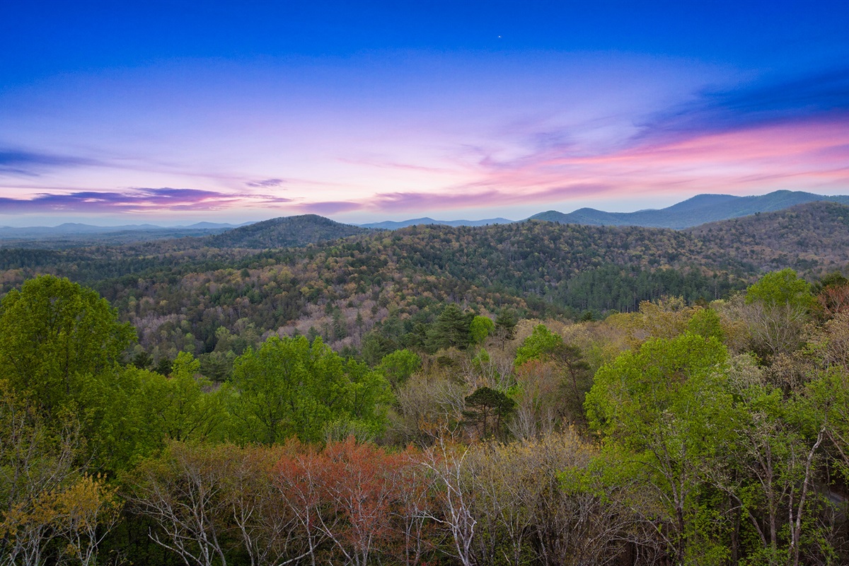 Aerial view from the back deck of Ritzy Ridge!