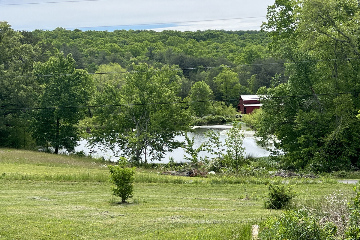 View of neighbors pond across the dead end road