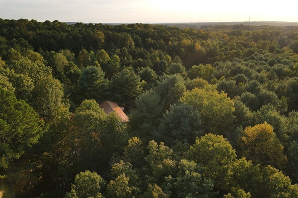 Hike for miles in our secluded 16 acres or journey beyond our woods into Hoosier National Forest