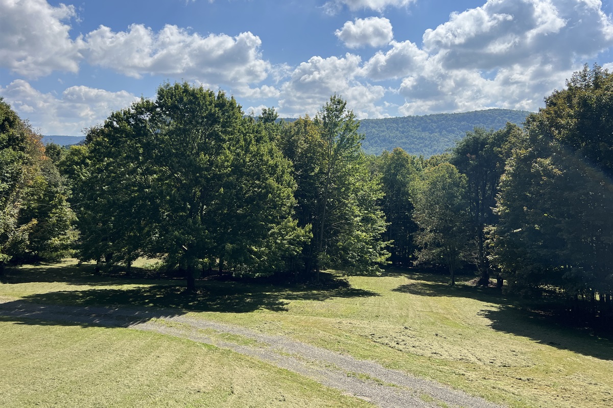Plenty of lawn space to burn off energy