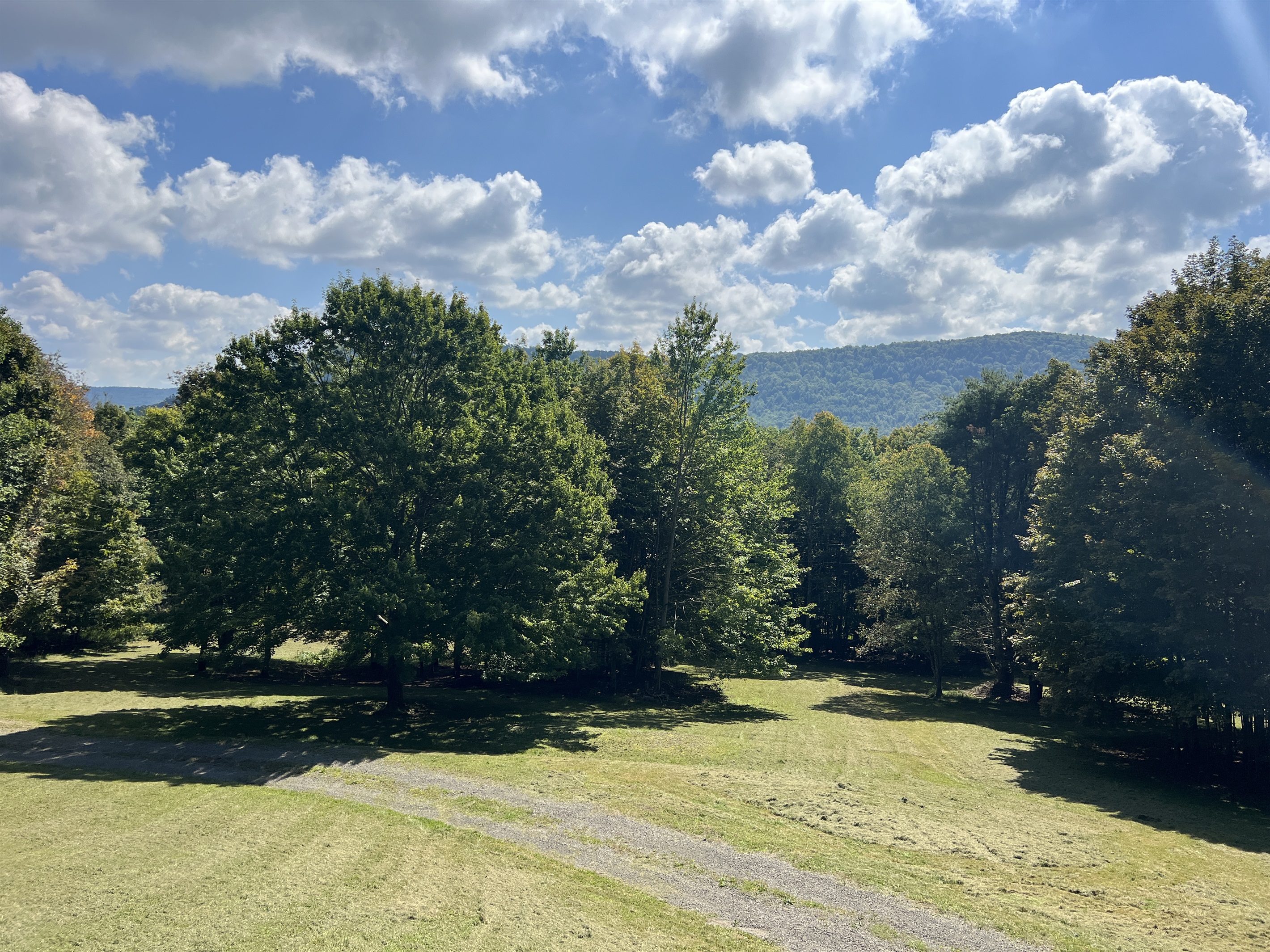 Plenty of lawn space to burn off energy