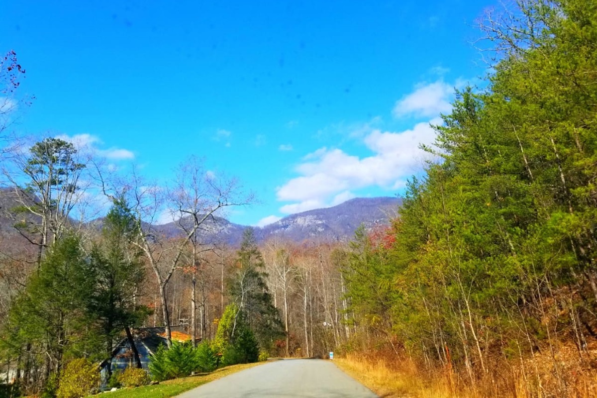 Hiking trails near the cabin
