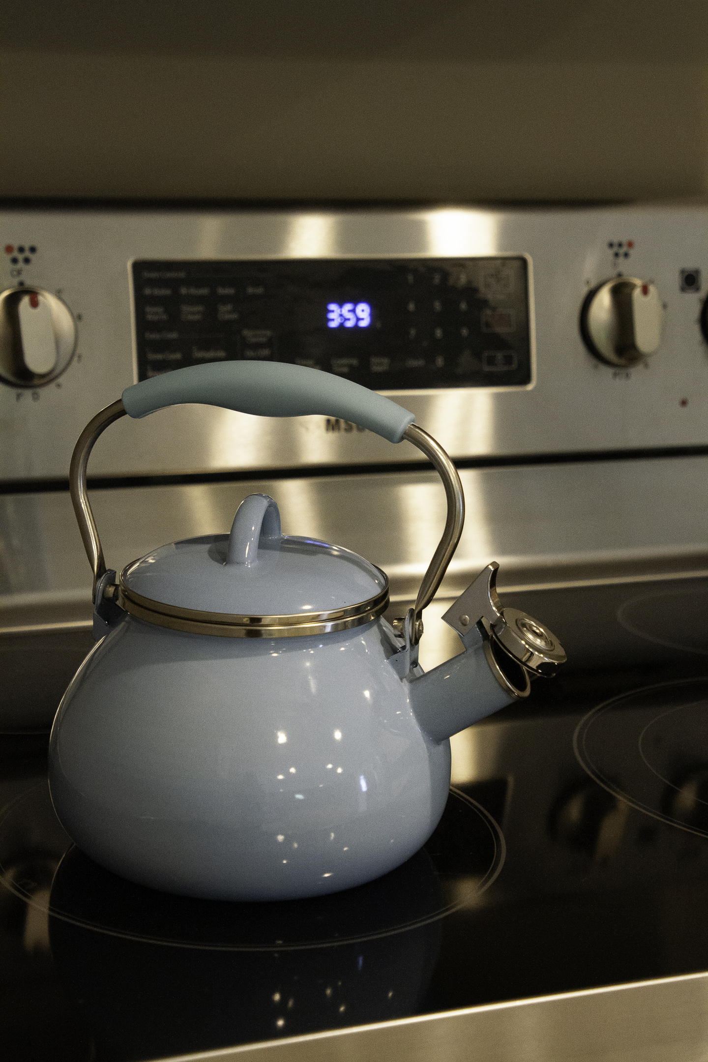 Tea kettle on the stove