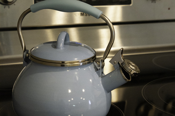 Tea kettle on the stove