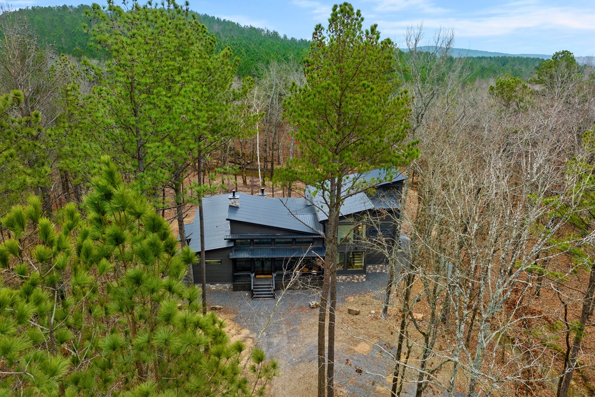 From above, you can see how peacefully the cabin is tucked into the forest.