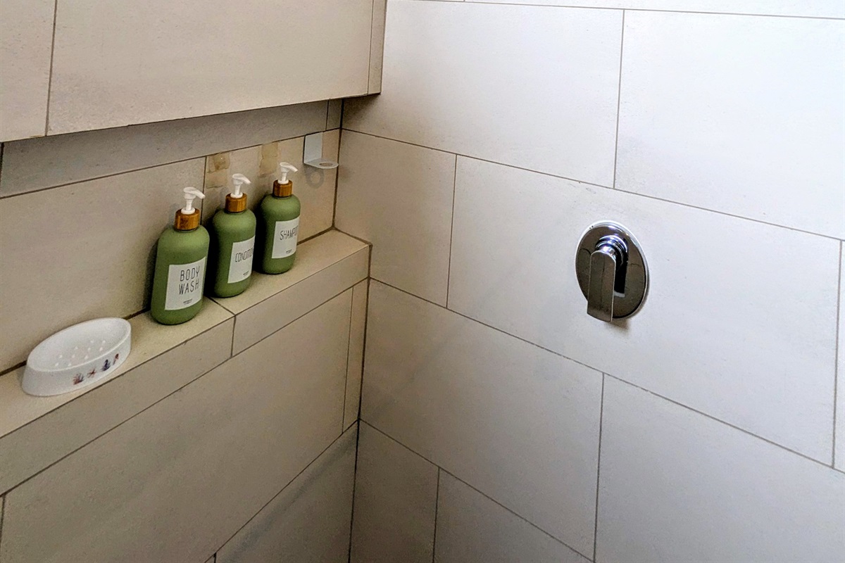 Upstairs Guest Bathroom Shower