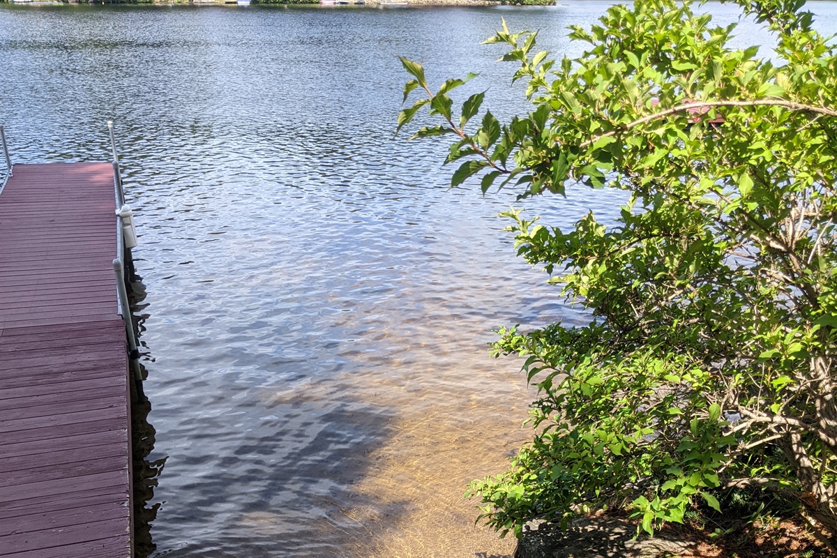 Steps from backyard into Lake water