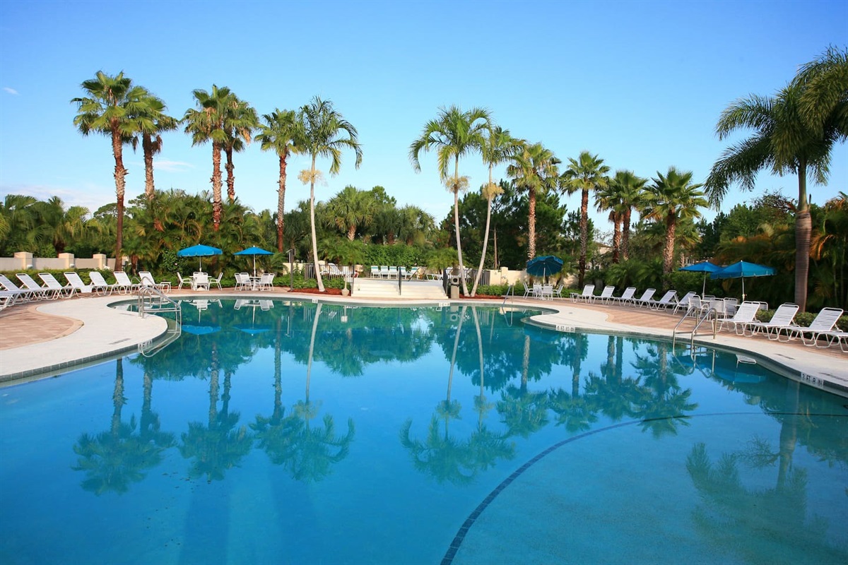 Resort-style community pool surrounded by tropical landscaping, lounge chairs, and palm trees — perfect for relaxing and enjoying the Florida sunshine.