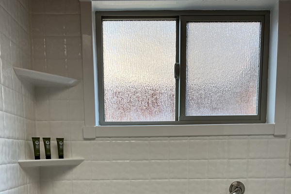 Downstairs shower features a grab bar