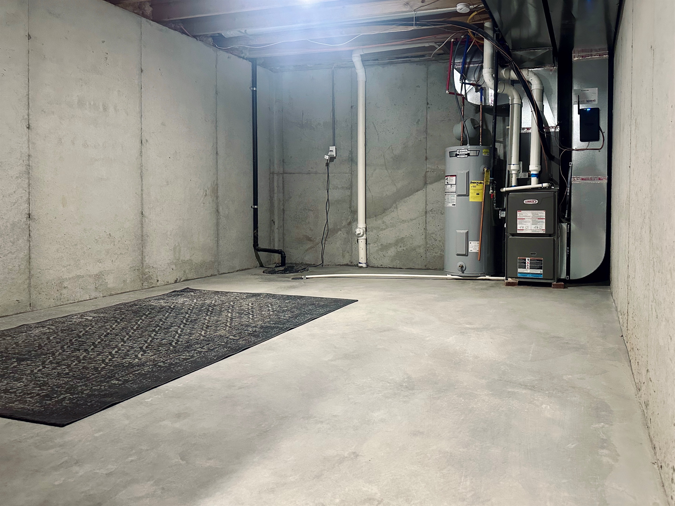 East-side basement utility area housing core home systems, thoughtfully arranged to preserve surrounding space for storage.