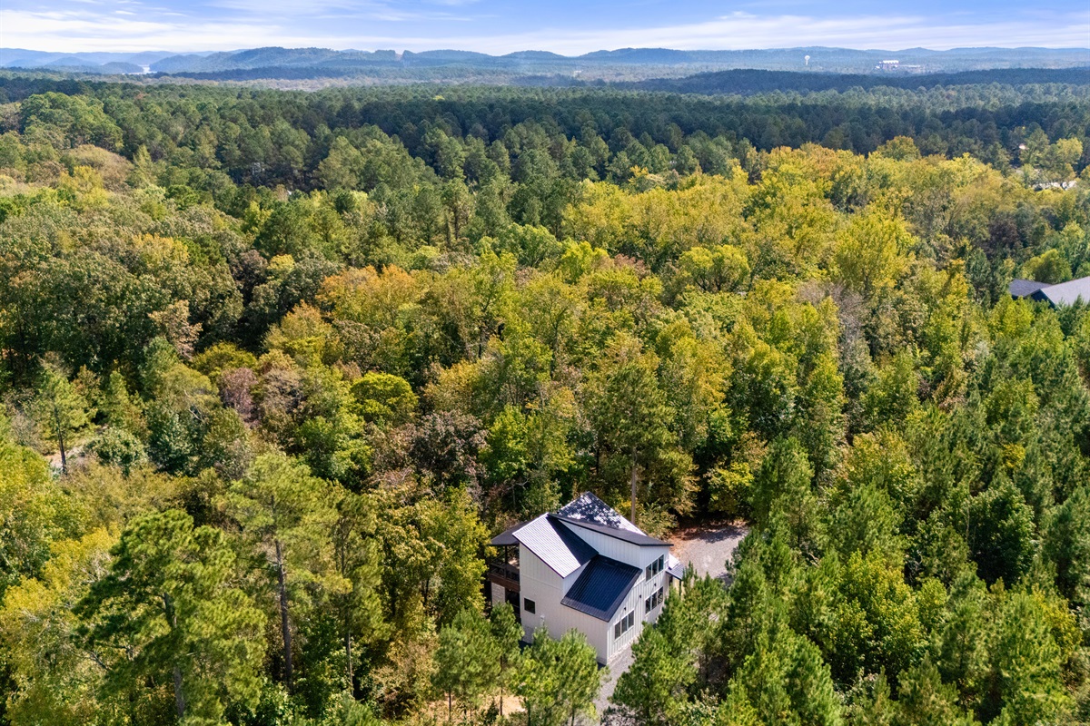 Aerial view of the cabin surrounded by forest.