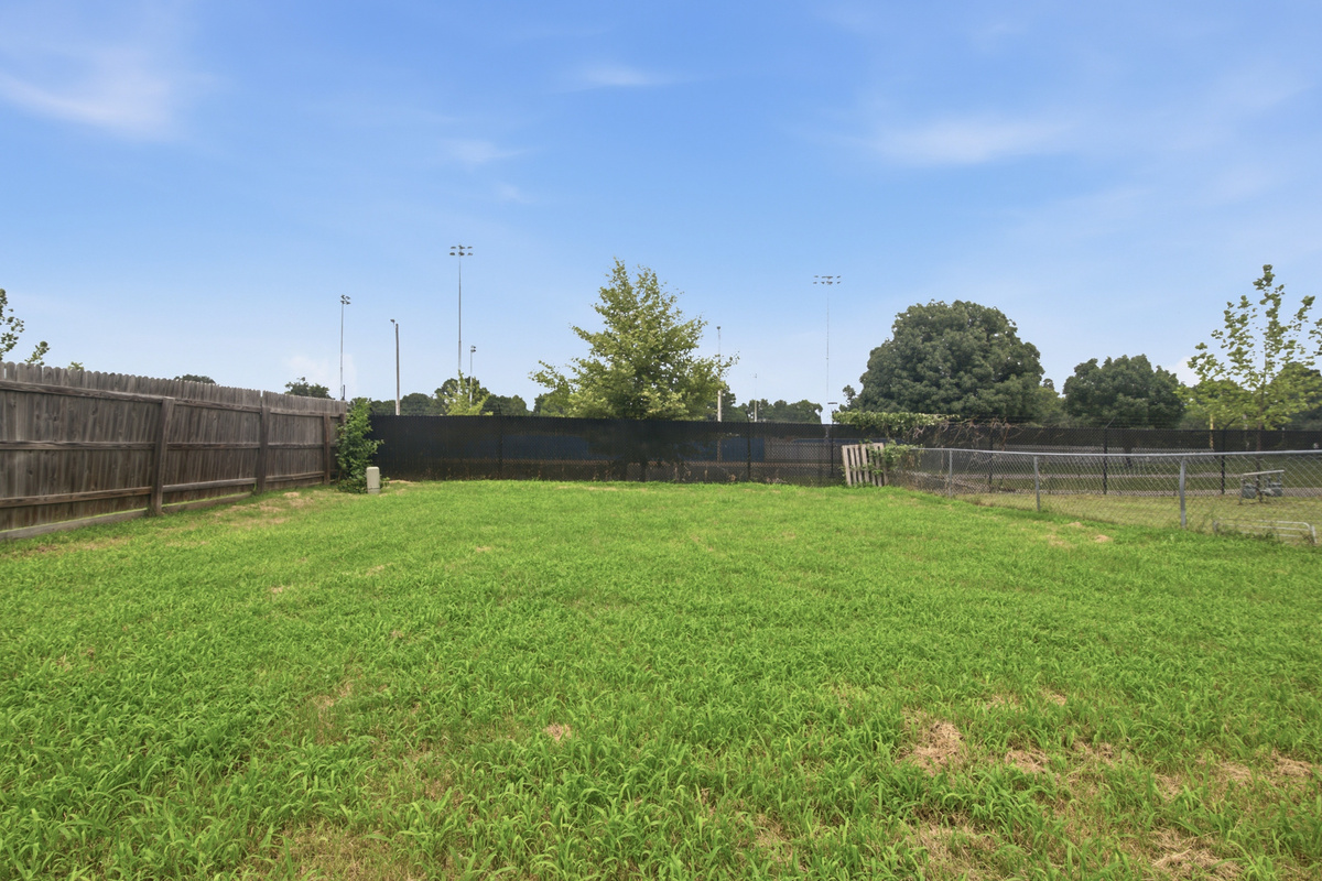 Backyard
