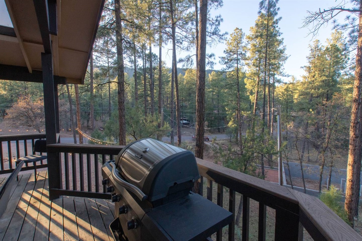 Amazing views of Strawberry Mt. from deck #2