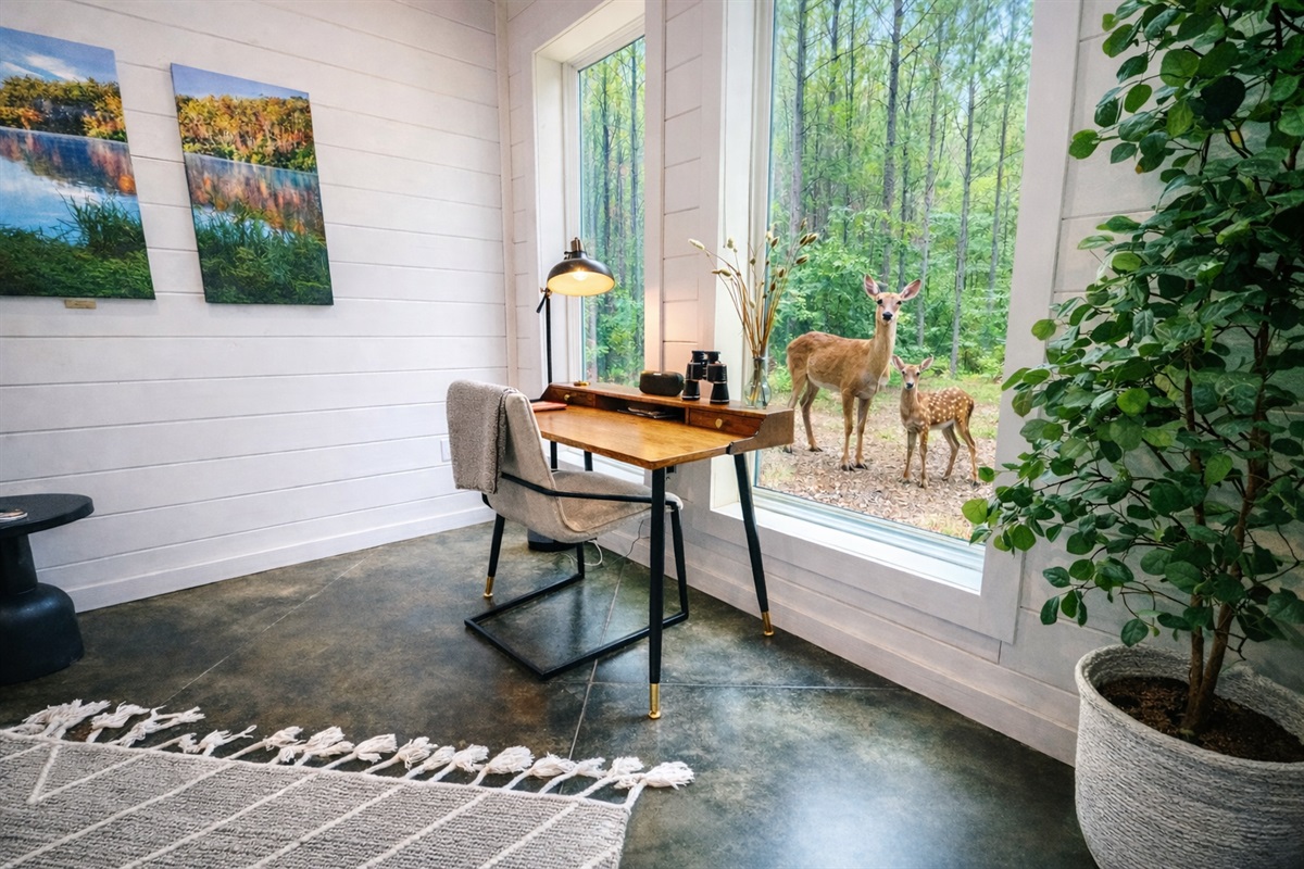 ~If work calls...your desk awaits and if you're lucky catch some wildlife passing by ~