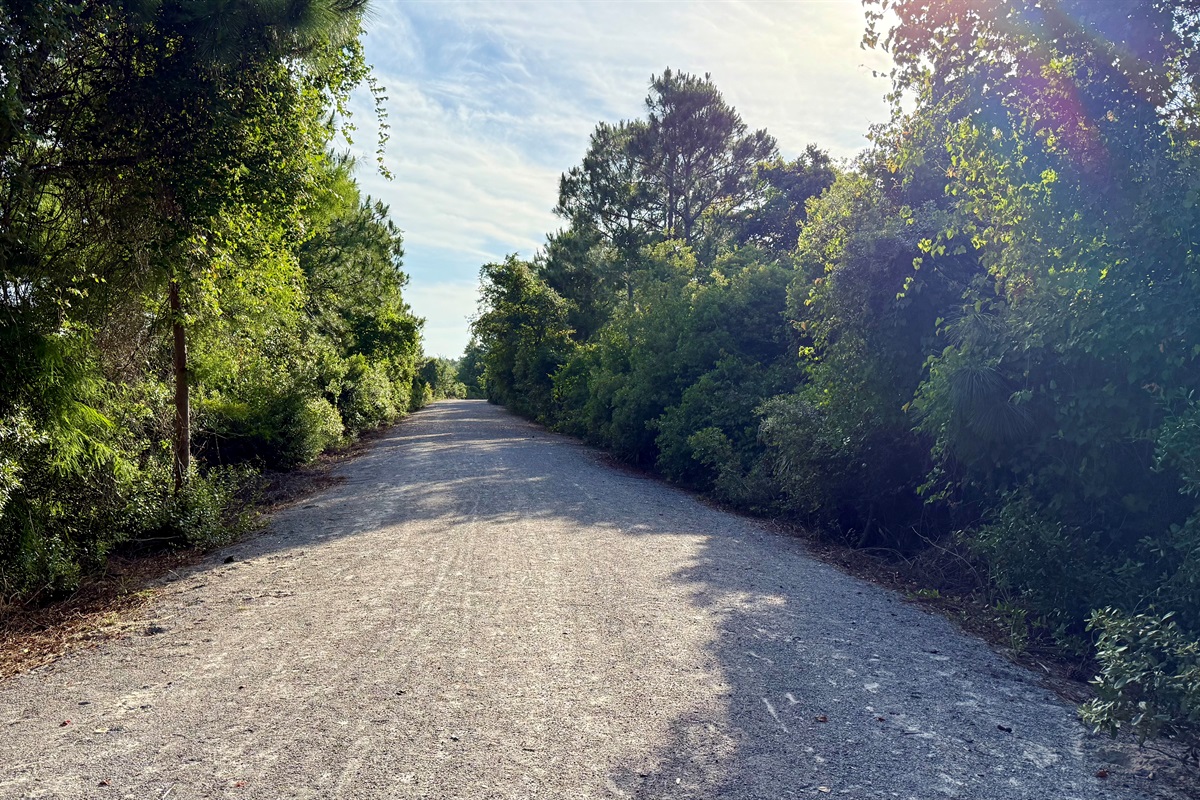 Miles of shaded walking trails
