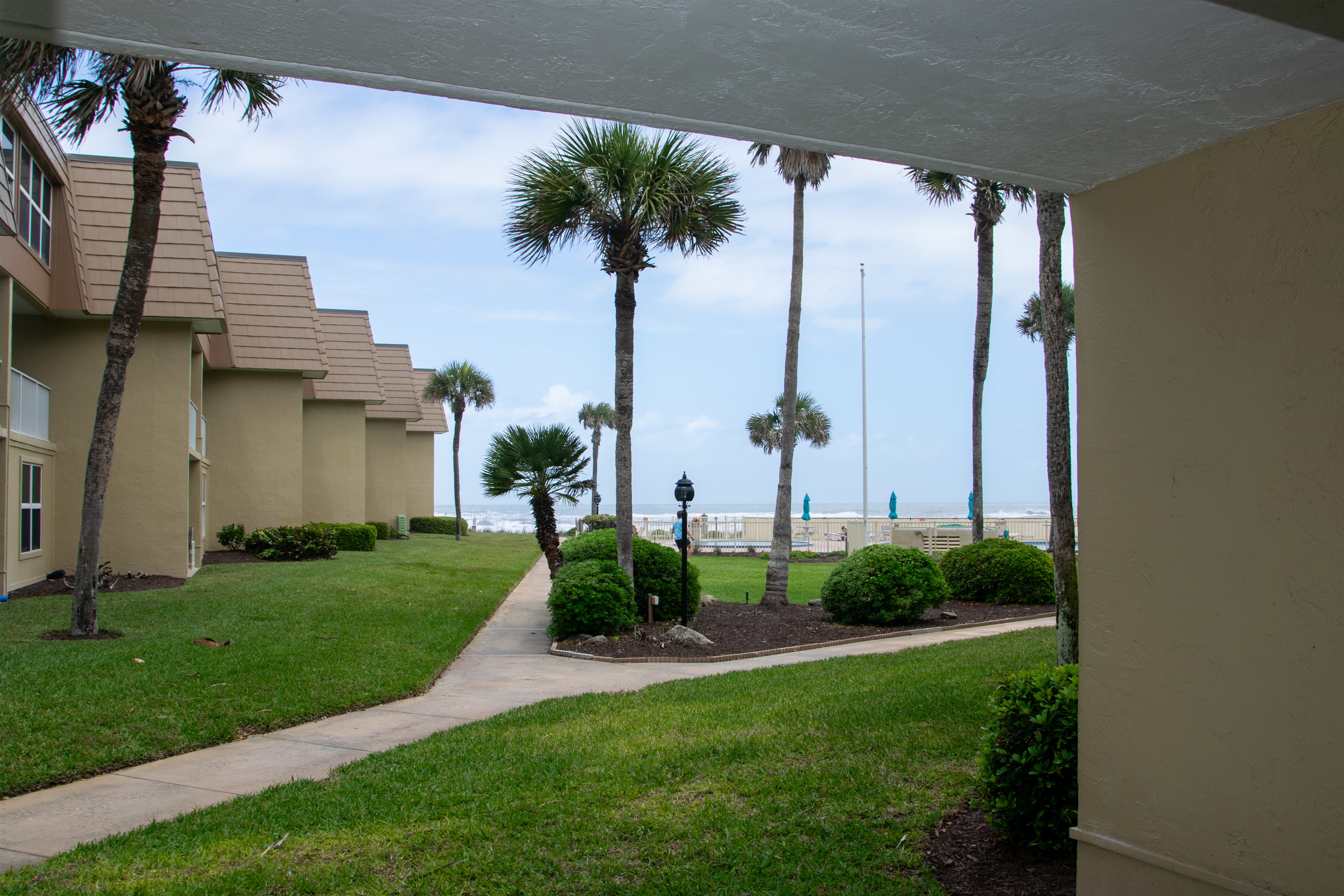 View from the patio
