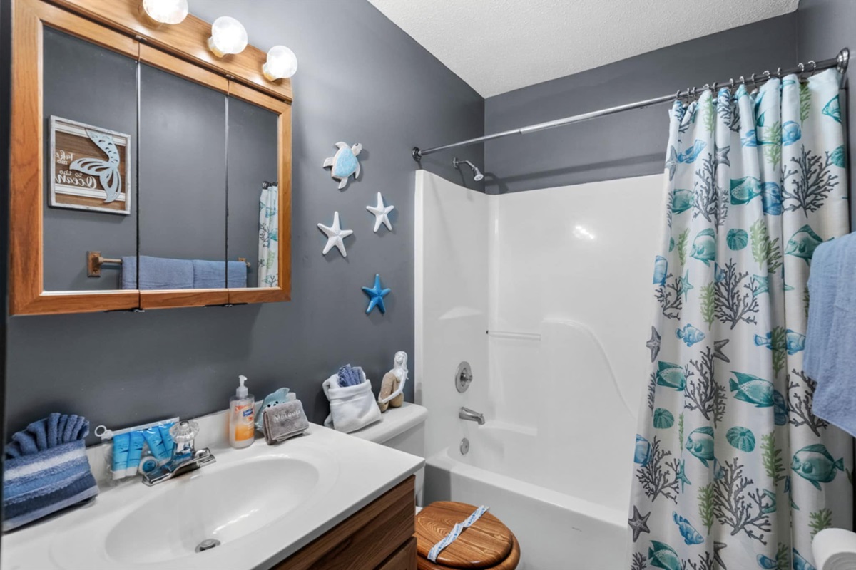 Main Bath with Shower/tub combo