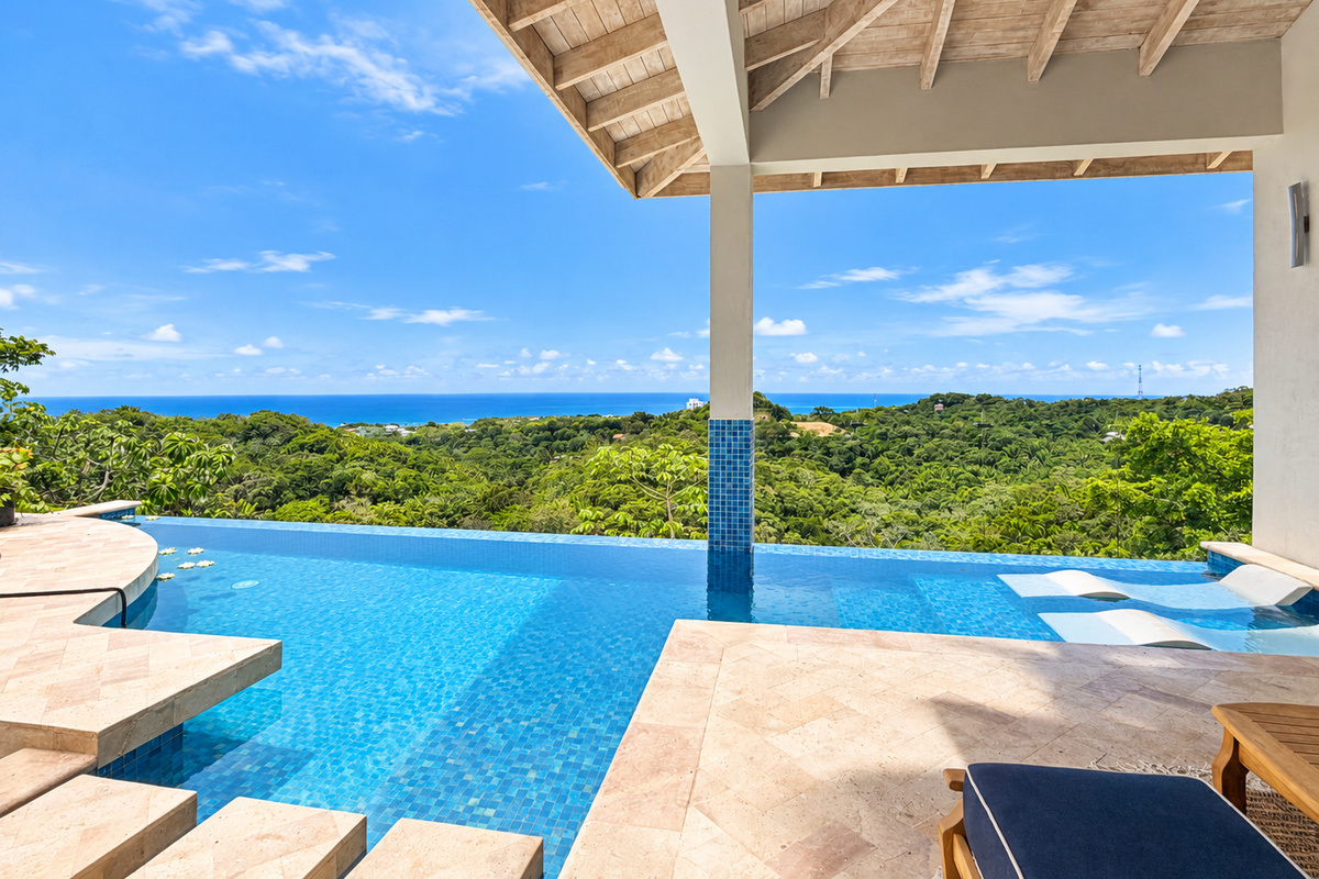 Patio and pool area