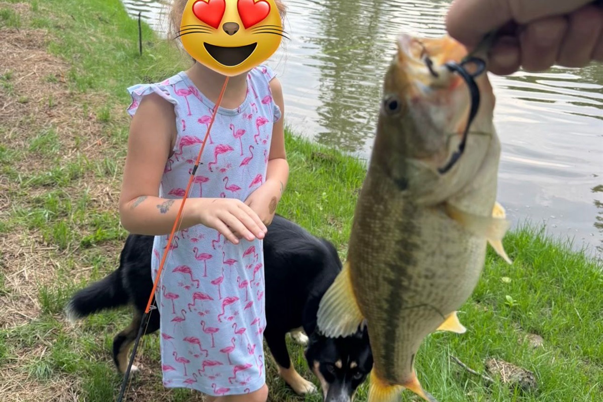 Catch and Release