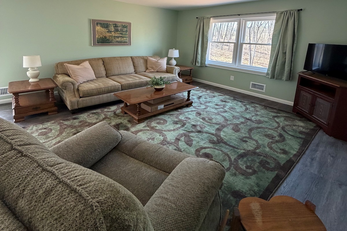 Cozy living room with woodland views