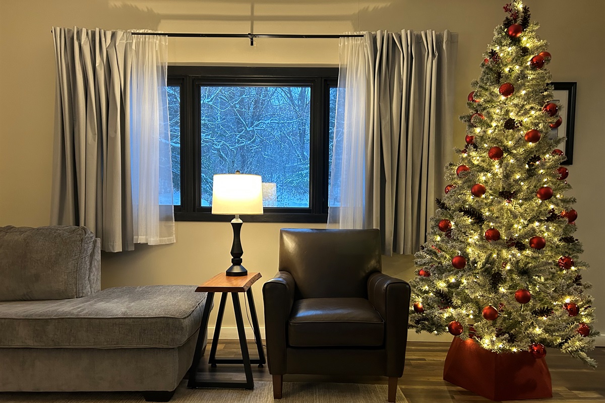 Christmas tree with view out front window of snow lined tree branches.