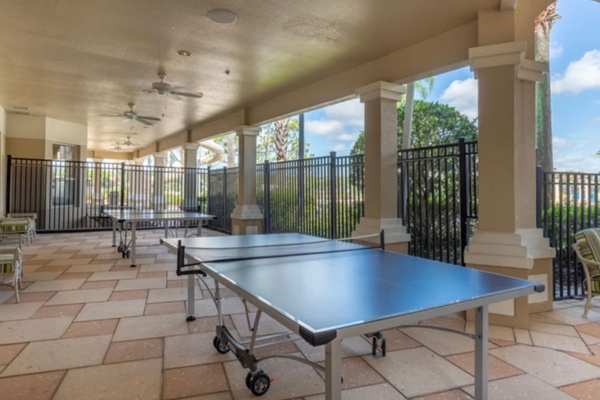 Ping Pong
