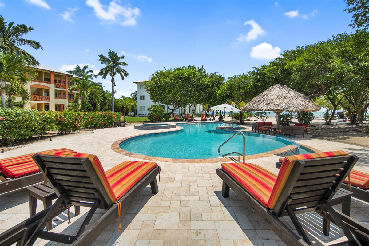 Pool and Loungers