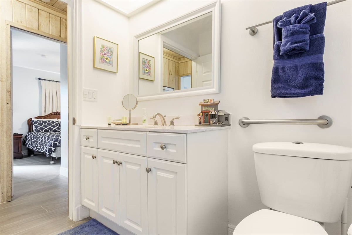 Central Bathroom with wide access door and bars in tub and toilet.