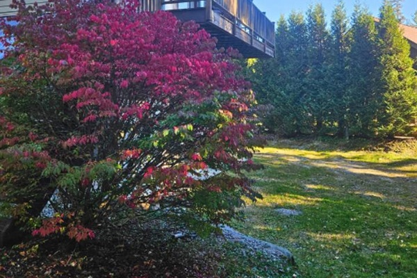 Enjoy the beautiful views from both decks on the home! 