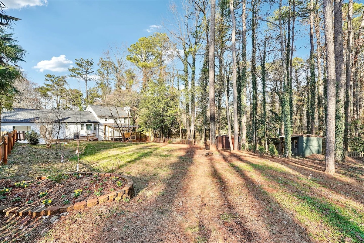 Backyard