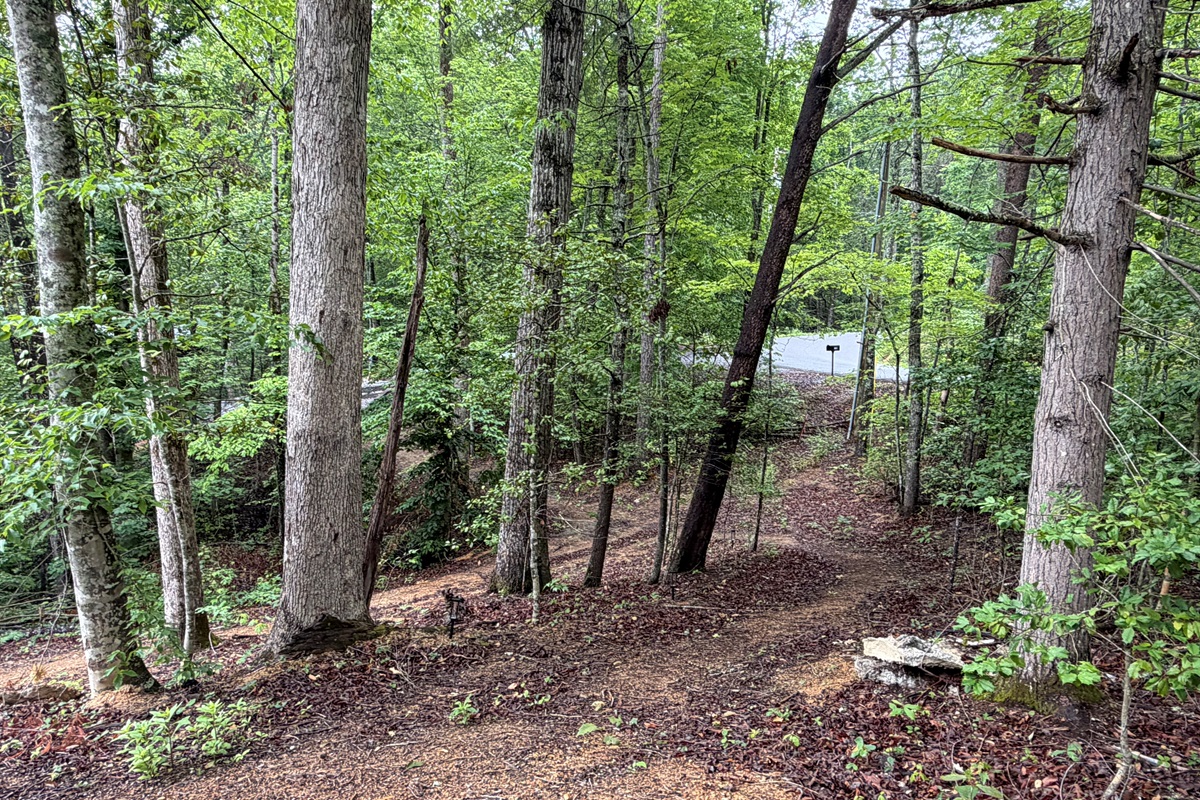 Wooded path between cabins 