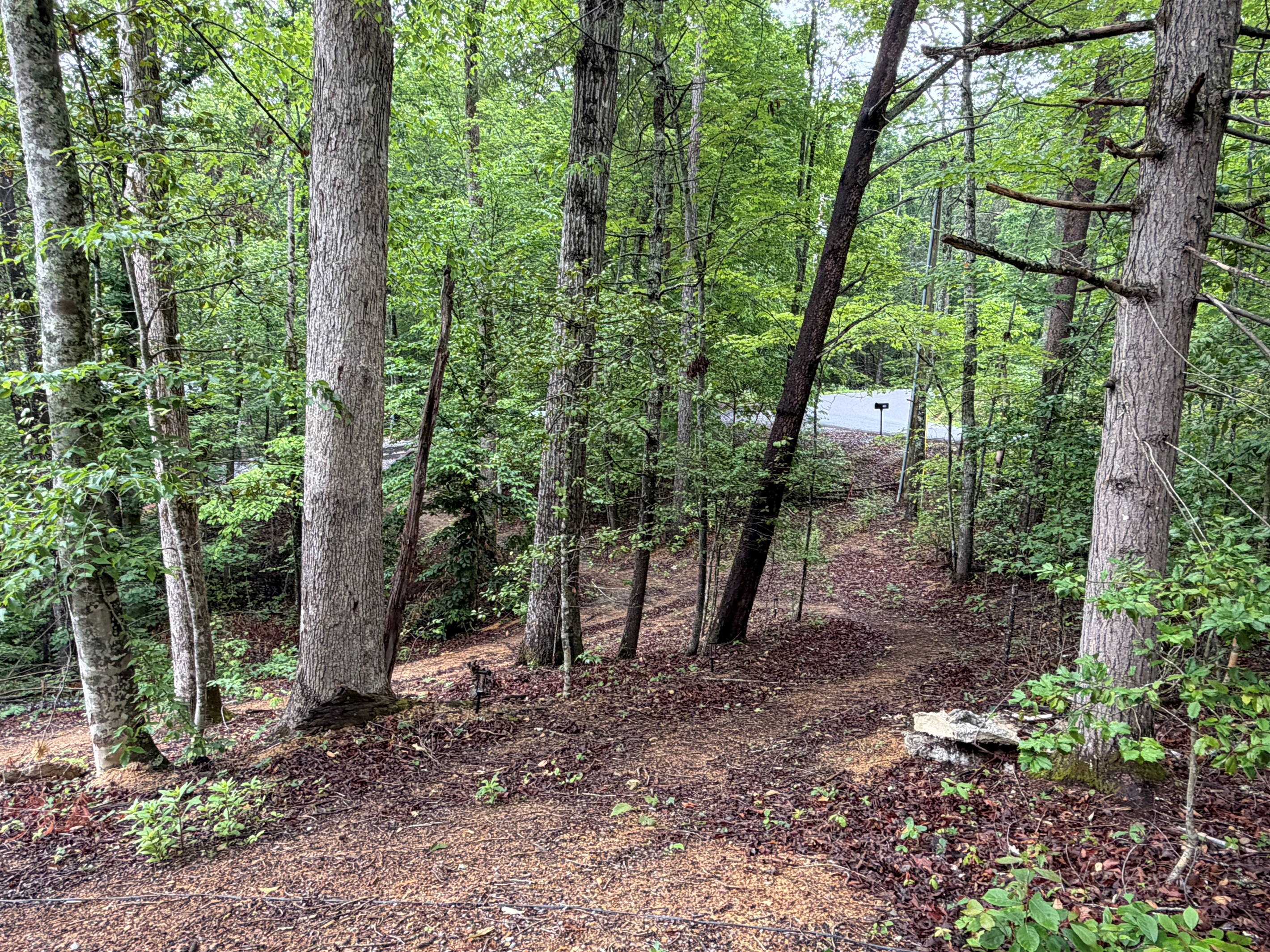 Wooded path between cabins 