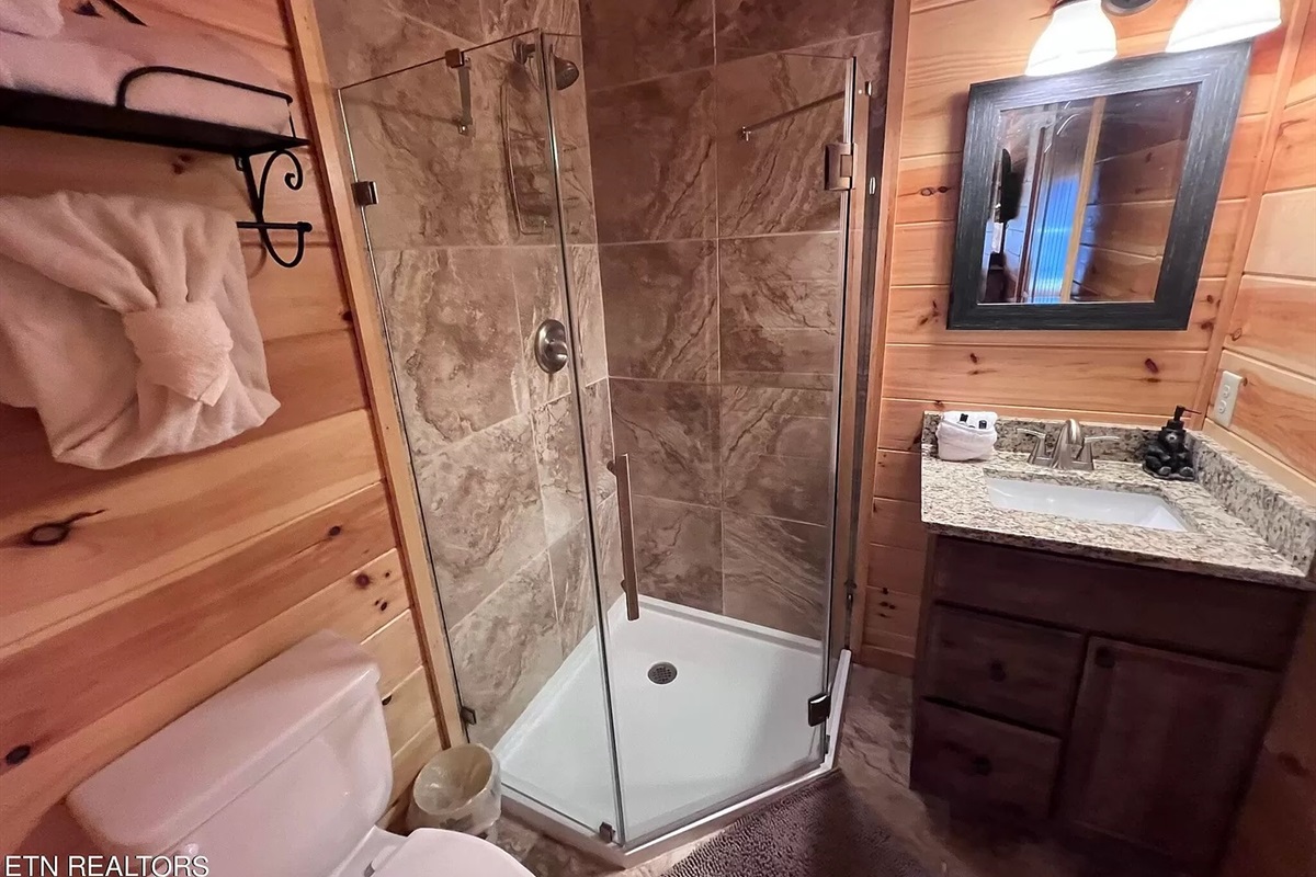 Full bath with shower (bottom level)