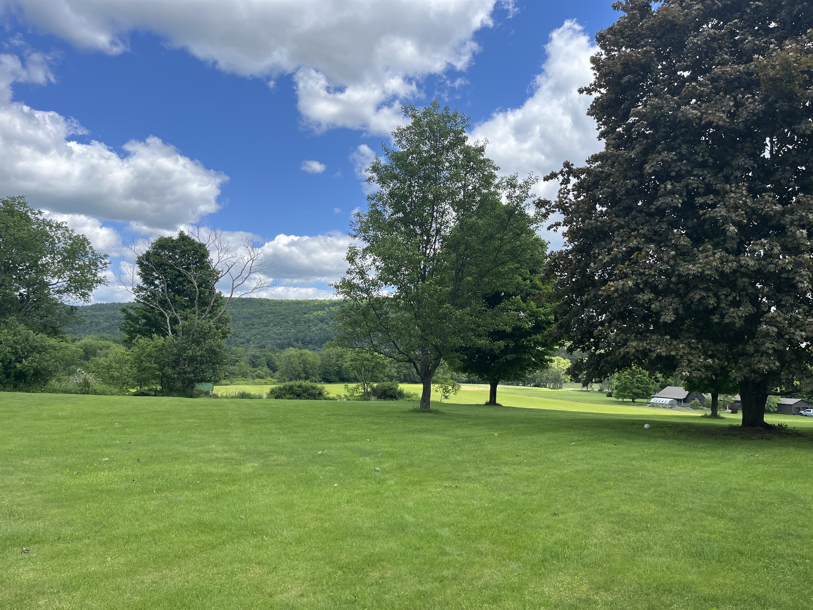 Back yard and rolling hills
