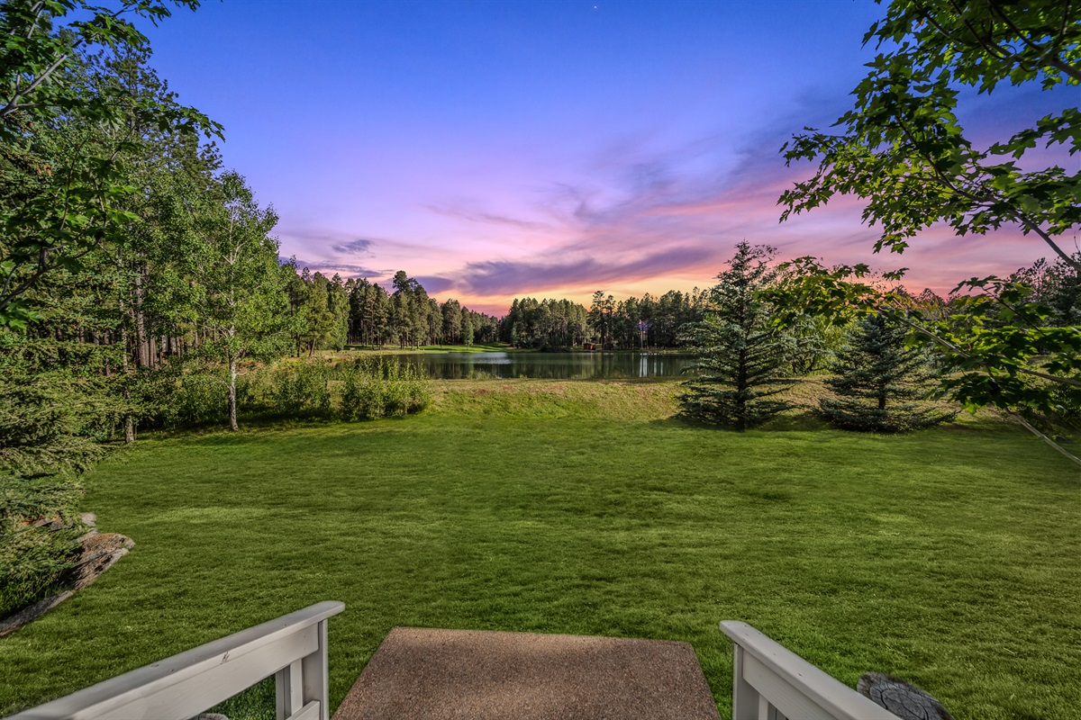 Back yard